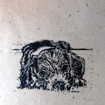 Poppy's Rest - Linocut relief print by Sharon Low 2013